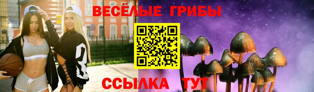 Галлюциногенные грибы GOLDEN TEACHER  Вход с VPN  Галлюциногенные грибы GOLDEN TEACHER  Екатеринбург 